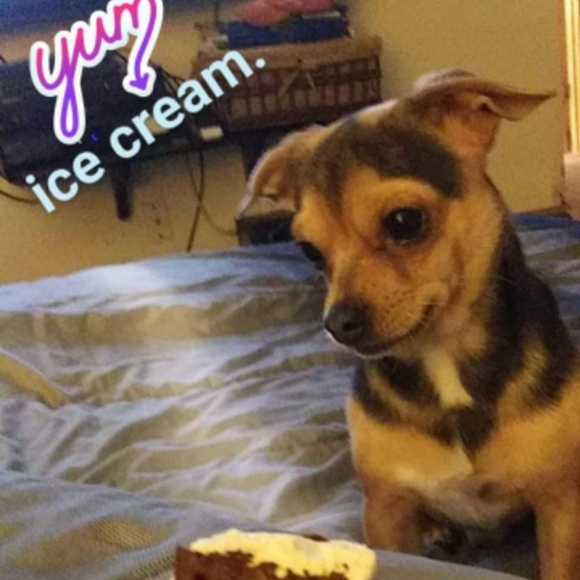 Meet your Posher, Christina - Picture 7 of 7